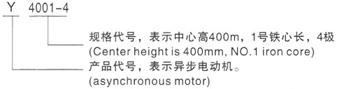 西安泰富西玛Y系列(H355-1000)高压YJTG-160M-4A/11KW三相异步电机型号说明