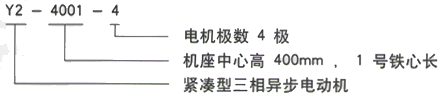 YR系列(H355-1000)高压YJTG-160M-4A/11KW三相异步电机西安西玛电机型号说明